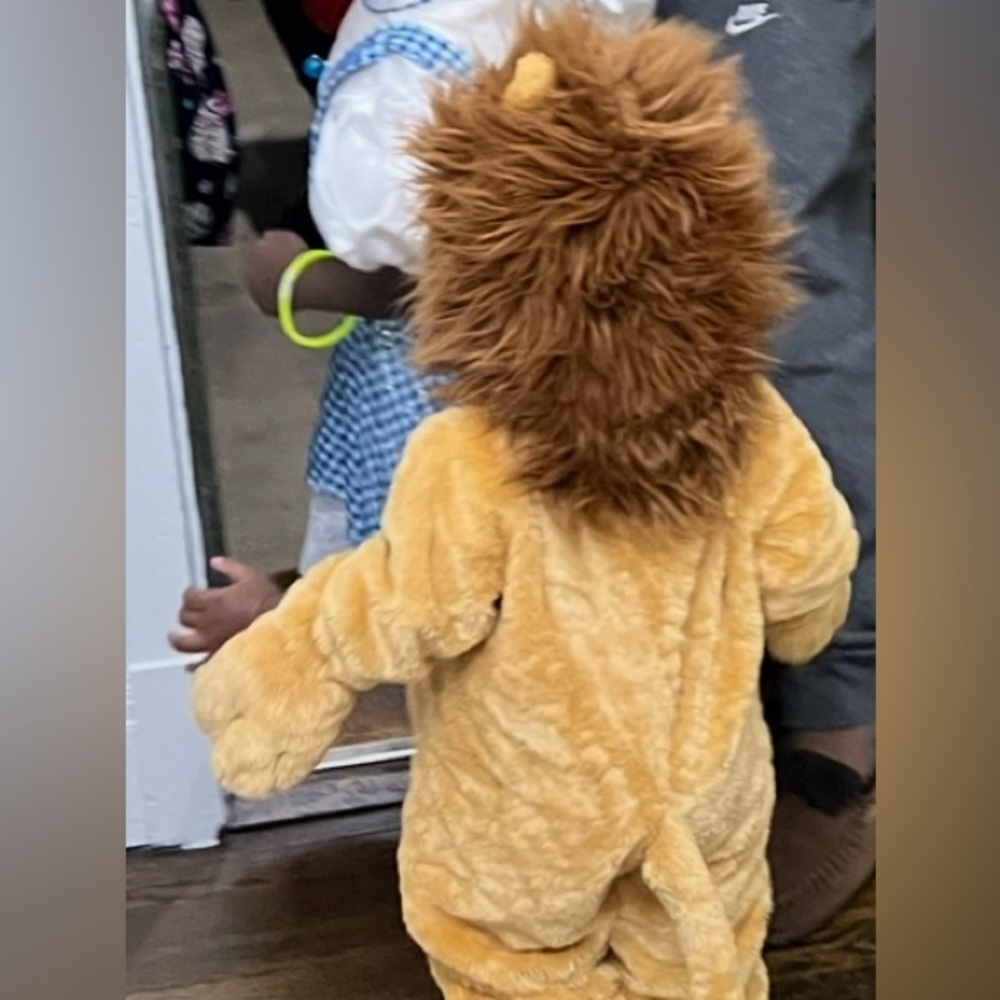 Cozy Lion Costume - Size 12 Month
